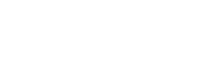 Logo DIMEC USACH